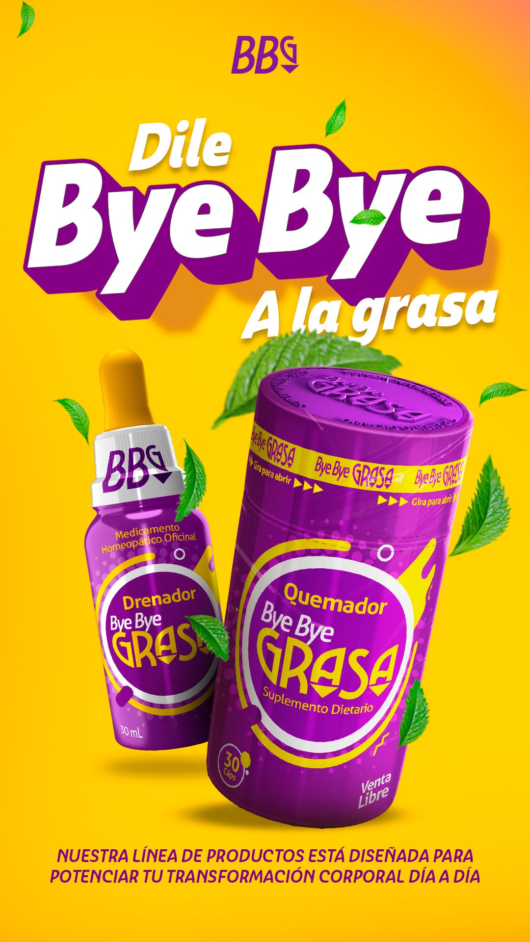 Bye Bye Grasa DÚO